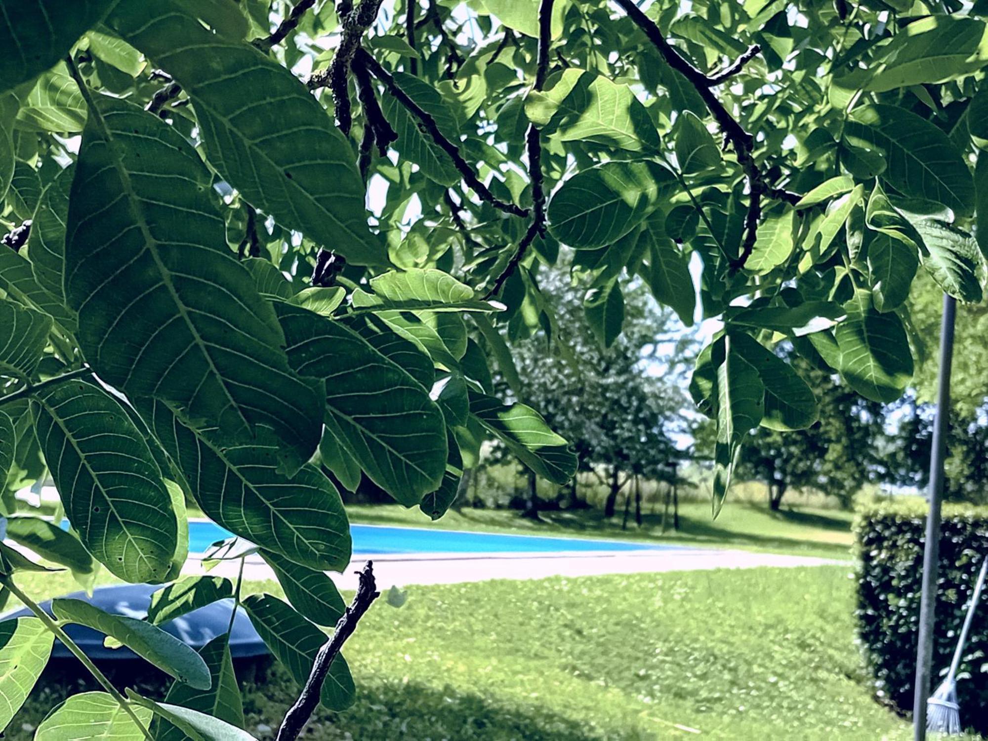 Agriturismo Il Cornalino Castel Viscardo Εξωτερικό φωτογραφία