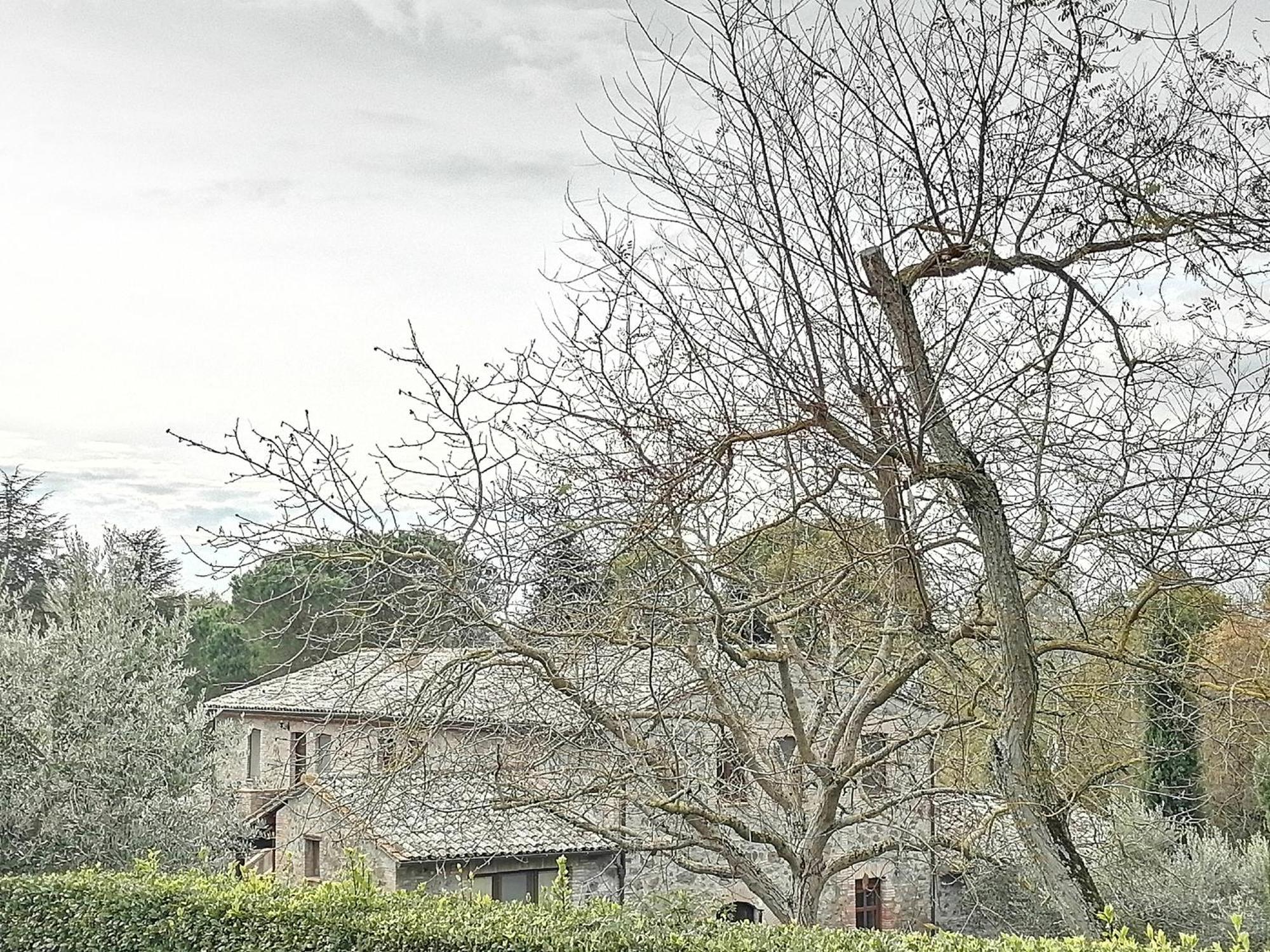 Agriturismo Il Cornalino Castel Viscardo Εξωτερικό φωτογραφία