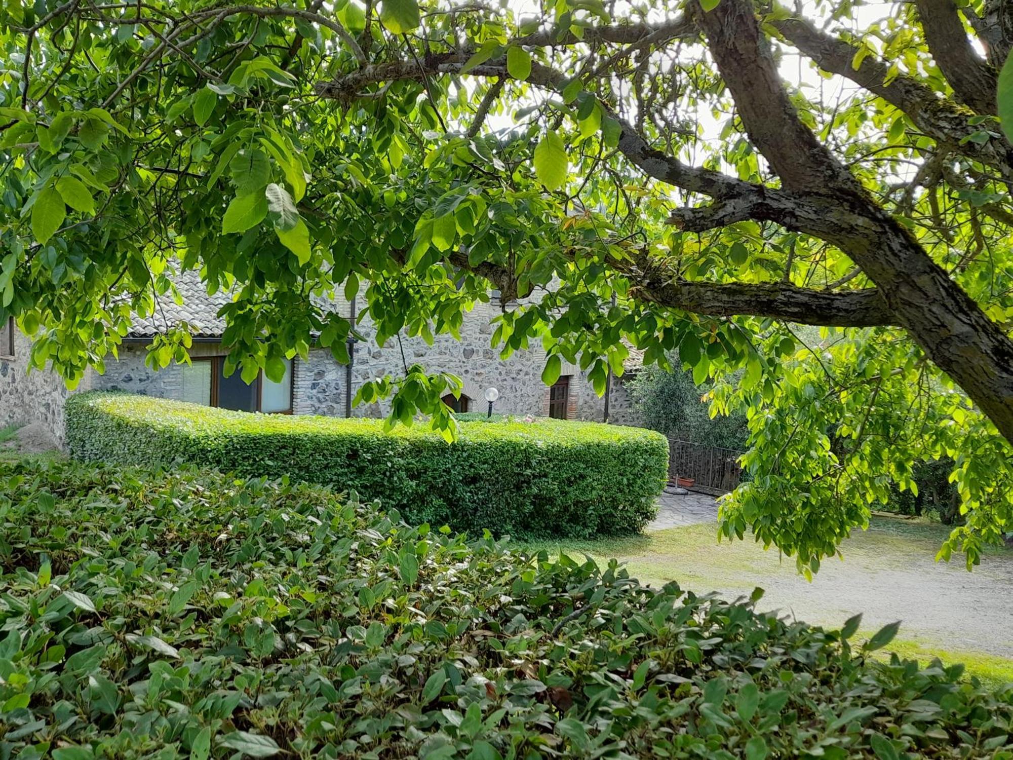 Agriturismo Il Cornalino Castel Viscardo Εξωτερικό φωτογραφία