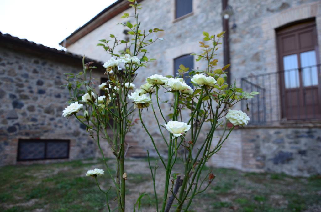 Agriturismo Il Cornalino Castel Viscardo Εξωτερικό φωτογραφία