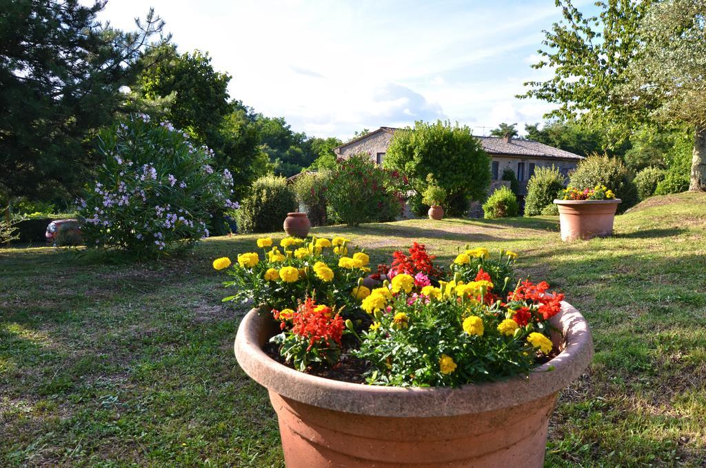 Agriturismo Il Cornalino Castel Viscardo Εξωτερικό φωτογραφία
